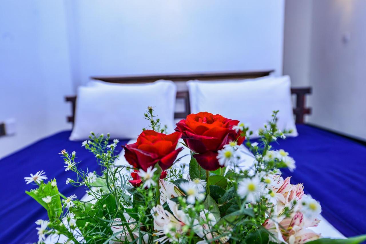 Ella View Hotel Kültér fotó
